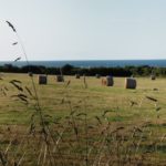 IMG-20190812-WA0004